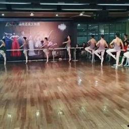 成人芭蕾变化视频教学