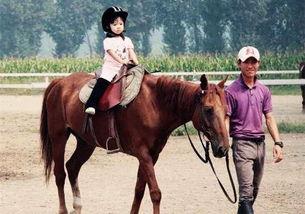 马术成人教学视频大全,全方位解析成人马术学习之路