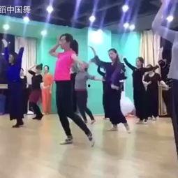 成人初级舞蹈视频