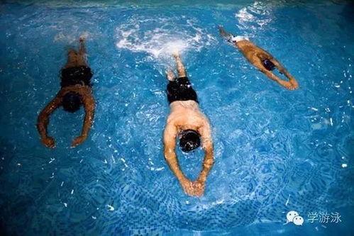 成人游泳浮球教学视频,轻松掌握成人游泳浮球教学技巧