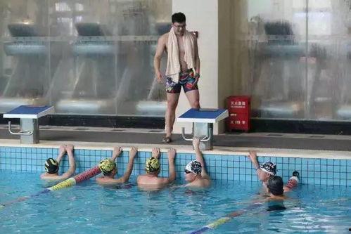 成人游泳浮球教学视频,轻松掌握成人游泳浮球教学技巧