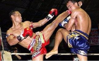 成人拳击假人模型视频