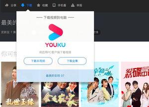 不要下载成人网站视频,拒绝下载成人网站视频