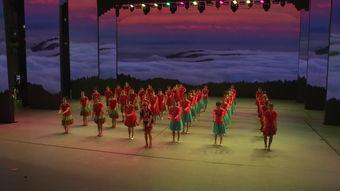 舞蹈集体舞成人简单视频,跟随舞蹈视频,体验集体舞的魅力