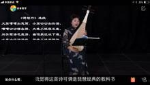 新手成人琵琶教学视频,新手必看视频教程解析
