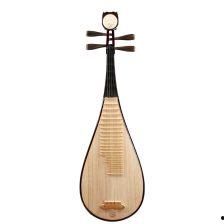 新手成人琵琶教学视频,新手必看视频教程解析