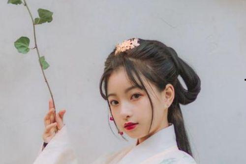 国风成人发型教程视频大全,解锁古典韵味,打造专属你的古典美