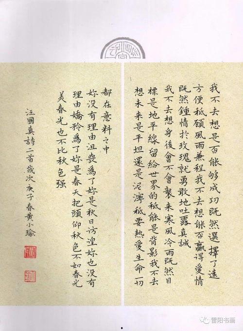 书法成人硬笔视频大全集,视频大全集精华解析