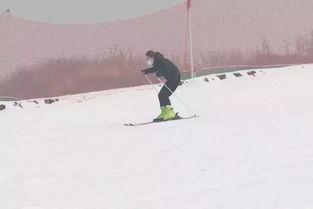 成人划雪技巧视频教程,成人划雪技巧视频教程精华解析