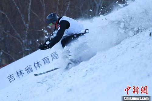 成人划雪技巧视频教程,成人划雪技巧视频教程精华解析