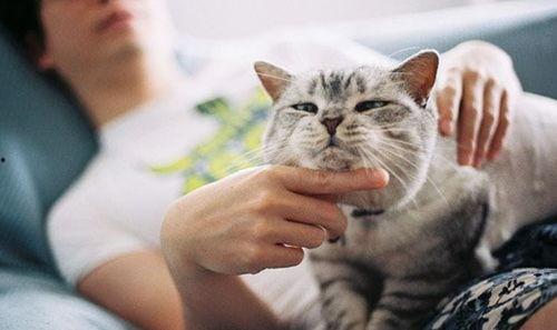 筷猫成人短视频