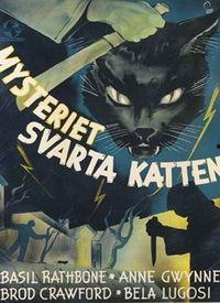 成人黑猫视频在线播放