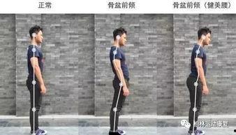 成人肩部训练视频教学,跟随专业视频教程高效训练