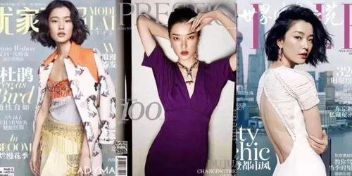 国模成人AV视频,一场视觉与心理的双重冲击