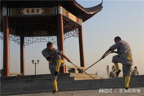 成人学武术的视频,跟随武术视频轻松入门